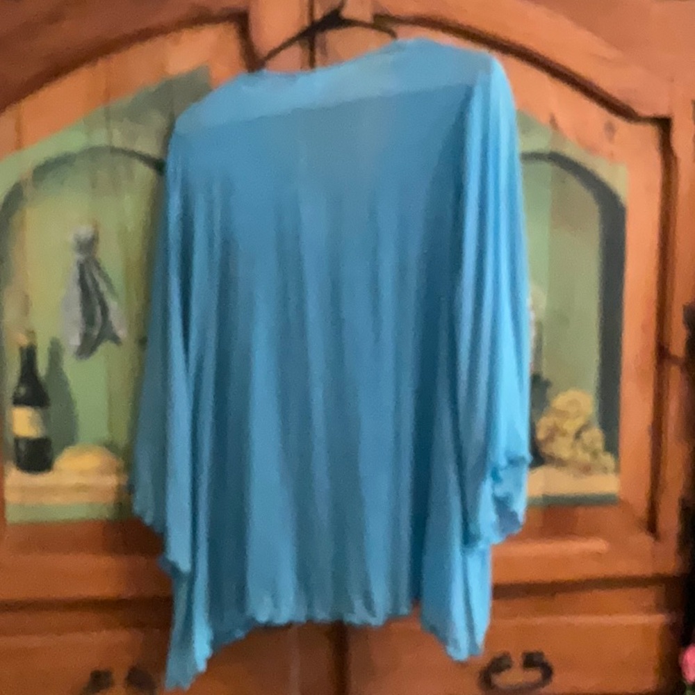Karyn Seo Peacock Blouse - Picture 6 of 6